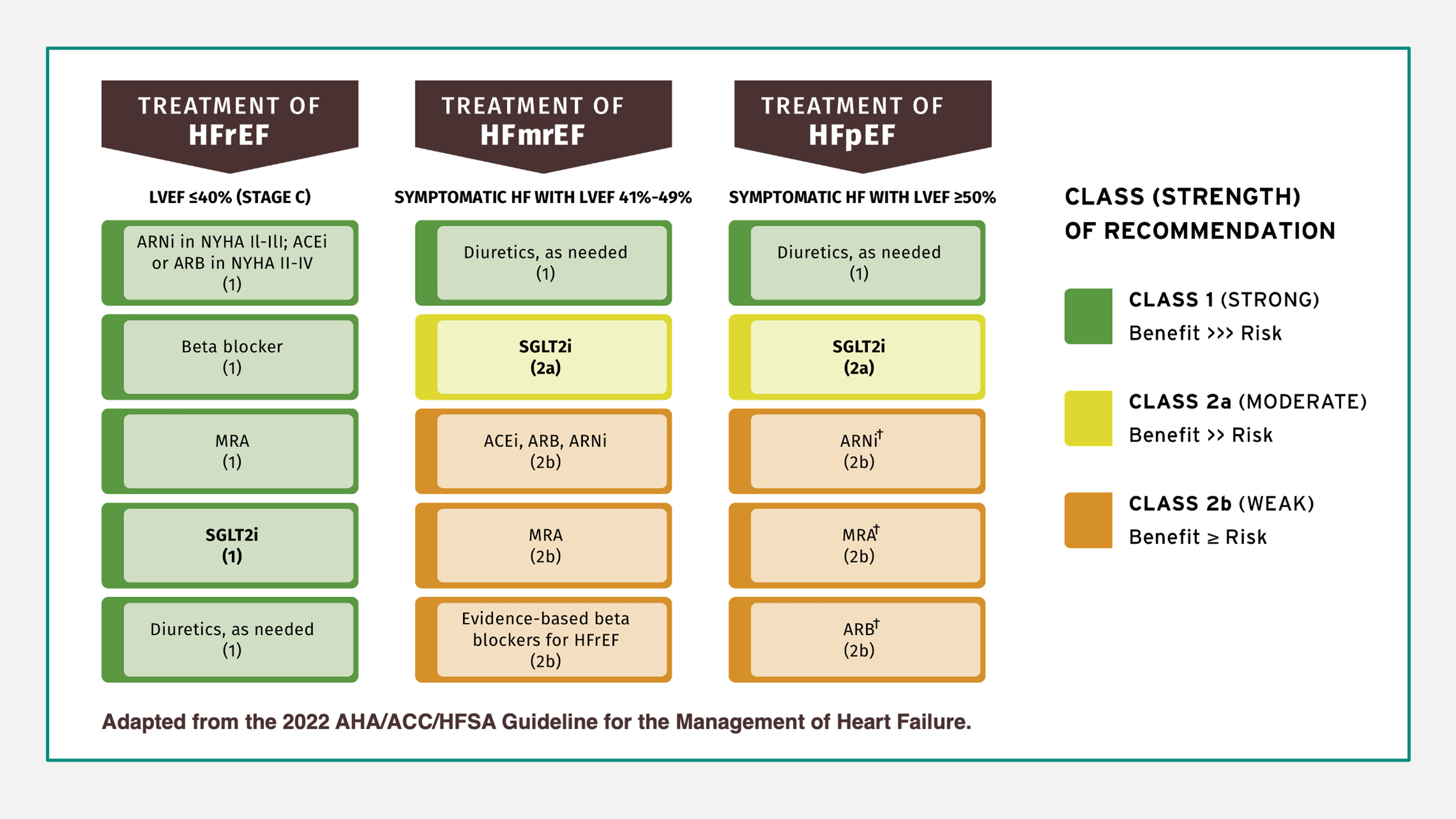 Diagram adapted from the 2022 AHA/ACC/HFSA Guideline for the Management of Heart Failure